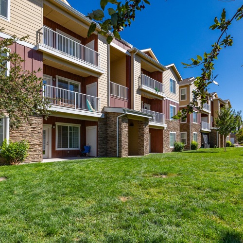 Manicured landscaping and lawn
